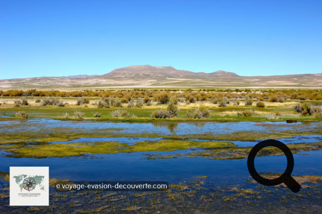 Direction, le Sud Lípez sur une belle route de sable traversant de superbes paysages jusqu’à la vallée des roches en plein dessert de Siloli. 