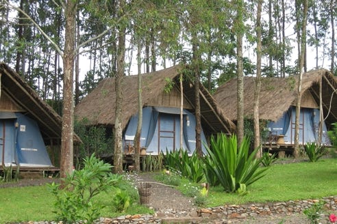 Ce petit Lodge sans fioritures avec ses 20 tentes sous toit  de chaume et surmontées d'un planché sur pilotis, offre le meilleur hébergement dans la région de Jinka. Il y a un grand et très bon restaurant et le personnel est sympathique. La propriété est sur la rive de la rivière Neri , idéal pour la rencontre avec diverses tribus, notamment les Mursis. 