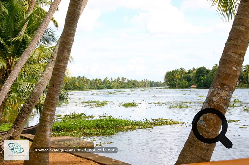 Nous avons réservé pour notre première nuit à Emerald Isle. C’est une magnifique maison d'hôtes située sur une île à environ 10 kilomètres de la ville d'Alleppey. Nous avons dû prendre un petit bateau à travers le fleuve pour y arriver.  