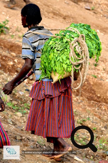 Cette destination ne vous laissera pas de marbre. À cause de la famine et des guerres, elle a longtemps été oublié et inaccessible. C'est un des pays les plus authentiques d’Afrique qui a su garder ses plus anciennes traditions. Elle s’est ouverte petit à petit au tourisme mais reste encore protégé du tourisme de masse. Pour combien de temps encore ?