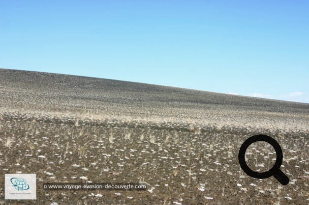 C’est un espace protégé au titre de monument national américain, situé sur la plaine du Snake, dans le centre de l'Idaho. Ce site contient trois grandes coulées de lave qui s'étendent le long du rift de l'Idaho. On peut y observer des moulages d'arbre brûlés : la lave en fusion entoure l'arbre, refroidit suffisamment vite pour imprimer les motifs de l'écorce mais assez pour ne pas carboniser l'arbre.