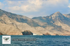Les fjords de Musandam à Oman
