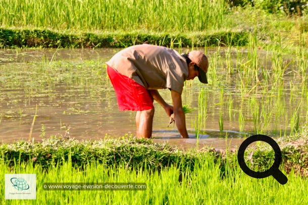 Niché au cœur de la campagne laotienne, il est situé à une trentaine de kilomètres au Nord de Luang Prabang, dans le village de Ban Yoi Hai. Ce gîte propose une expérience de vie unique au Laos autour de la culture et des traditions locales, mais également d'un tourisme éco-responsable. 