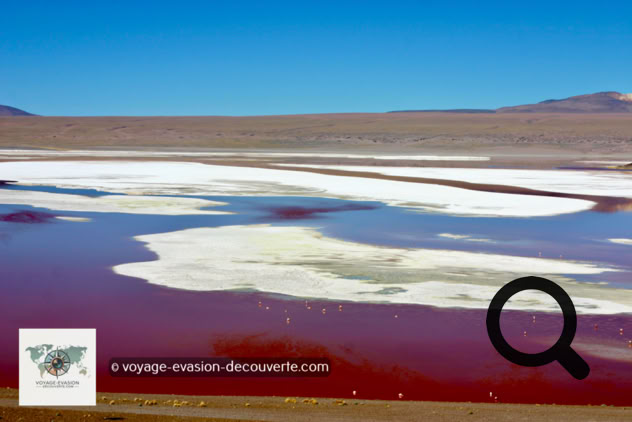 C'est un lac salé de type alto-andine en Bolivie, qui contient des îles de borax dans les secteurs Nord-Est et Sud-Est. Situé à une altitude de 4 278 m, il possède une superficie de 60 km² et une profondeur moyenne de 35 centimètres.