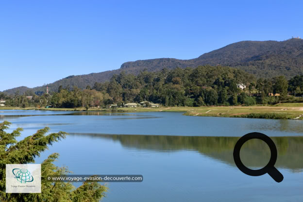 C'est la petite Suisse du Sri Lanka et surtout le verger de l'île, où potagers croissent en abondance, et où les vigoureux arbres fruitiers  croulent sous le poids des fruits. Plus au Sud, dans les prairies d'altitude paissent des troupeaux de vache. Tout ça, dans un paysage de montagne, de hauts plateaux, de lac et de ruisseaux. Avec le bon air et l'eau en abondance, dans la région, c'est le vert qui prédomine...