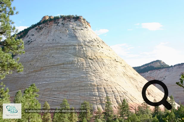 Il offre un superbe concentré de paysages typiques de l’Ouest américain. Des falaises, des canyons profonds, des  formations étonnantes, des cascades baignant dans une roche aux couleurs exceptionnelles. 
