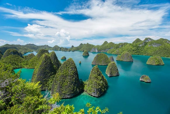 L’Indonésie, c’est aussi une multitude d’îles, égrenées au milieu de l’Océan Indien aux  eaux profondes.  Véritable mosaïque de paysages et de peuples, l’Indonésie est située sur la ceinture de feu  du pacifique et ses nombreux volcans en activité côtoient jungles impénétrables, rizières  immenses, forêts de mangroves, plages paradisiaques et récifs coralliens.  Sans oublier les fameux varans de Komodo, véritables dragons de 70 kg, redoutables dominant toutes les autres espèces de son écosystème. 