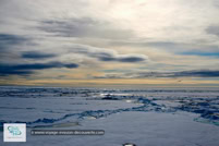 La banquise au Spitzberg