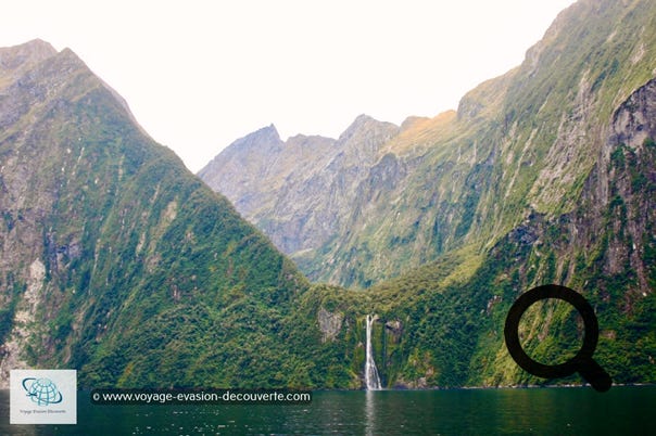 Milford Sound mérite bien son titre de lieu le plus incontournable de Nouvelle-Zélande. Cette expérience est à faire absolument, même si nous avons eu la malchance d’avoir un ciel très couvert, la contemplation de ces fjords est exceptionnelle. Les paysages y sont splendides et réellement bluffants.