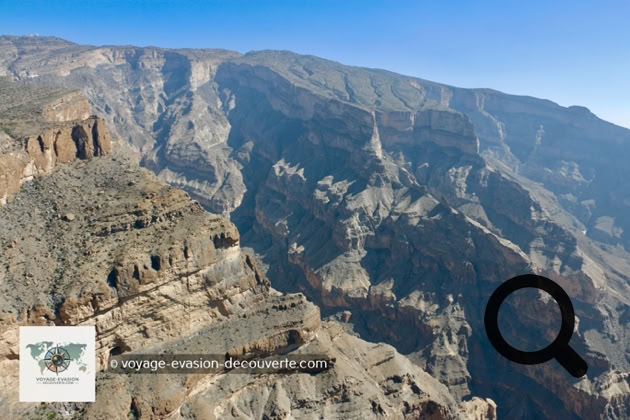 Pour rejoindre le Grand Canyon d'Arabie, nous avons emprunté une route sinueuse en lacets, grimpant progressivement vers les hauteurs. En chemin, nous croisions des montagnards bédouins veillant sur leurs troupeaux, silhouettes tranquilles au cœur de ces paysages arides et minéraux.