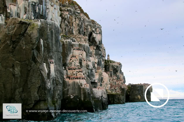 Située dans le détroit d'Hinlopen, sur l’île du Spitzberg, cette falaise longue de plusieurs kilomètres, semblable à une immense cathédrale de basalte, s’élève à plus de 200 m au-dessus de la mer.