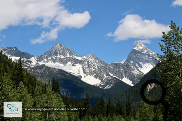 Créé en 1914, le parc national du Mont-Revelstoke est un endroit au paysage de contrastes : forêts humides et luxuriantes prairies alpines d'une part, crêtes rocheuses et dénudées, et glaciers d'autre part. La chaîne de montagnes Selkirk constituent la toile de fond du parc qui possède une superficie de 263 km². D'octobre à juin, une épaisse couche de neige recouvre le parc, mais durant le court été les prairies alpines s'illuminent de fleurs. 