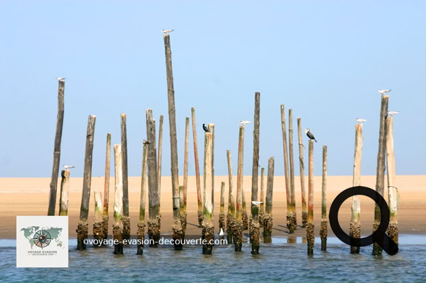 Abritée par la pointe de sable de Pelican Point, sa lagune littorale accueille de nombreuses espèces d'oiseaux, dont des flamants roses, des pélicans et des sternes des baleiniers.