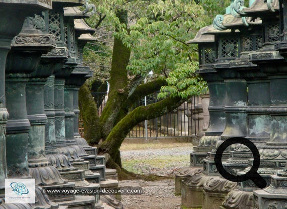 C’est un grand parc public situé dans le quartier d'Ueno dans le centre de Tōkyō.  Le parc est immense, on y trouve quatre musées, une salle de concert, un zoo, le bassin Shinobazu avec son sanctuaire et le temple Tōshōgū. Ce parc est un lieu apprécié par les Tokyoïtes, les touristes japonais et les étrangers. Un vrai havre de paix dans cette ville gigantesque.   En fin de journée nous sommes retournés dans le quartier de Shibuya pour profiter de l’ambiance nocturne.