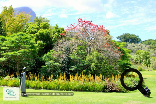 Ce superbe jardin botanique est situé dans la partie la plus aisée de la banlieue de la ville du Cap en Afrique du Sud.  Ce jardin botanique est l'un des plus renommés au monde grâce à ses collections et sa situation exceptionnelle. 