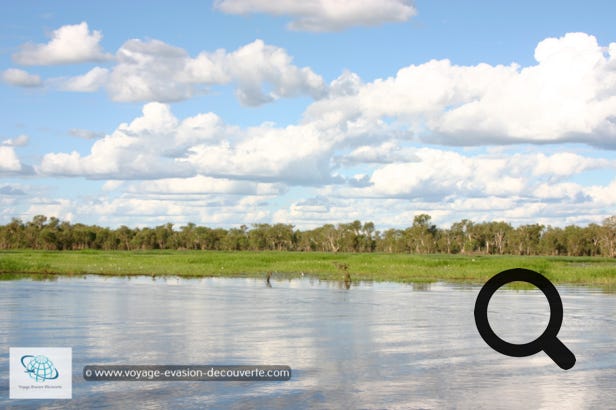 Ce parc national est une immense réserve naturelle bio diversifiée du Territoire du Nord. Englobant des marécages, des rivières et des escarpements en grès, il accueille près de 2 000 espèces végétales et animales, qu'il s'agisse de crocodiles marins, de tortues à dos plat ou d'oiseaux. 