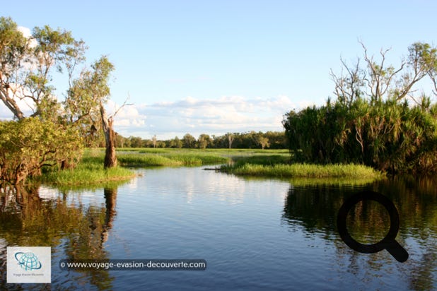 Ce parc national est une immense réserve naturelle bio diversifiée du Territoire du Nord. Englobant des marécages, des rivières et des escarpements en grès, il accueille près de 2 000 espèces végétales et animales, qu'il s'agisse de crocodiles marins, de tortues à dos plat ou d'oiseaux. 