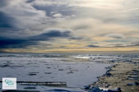 La banquise au Spitzberg