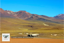 La Réserve Nationale de Faune Andine Eduardo Avaroa en Bolivie