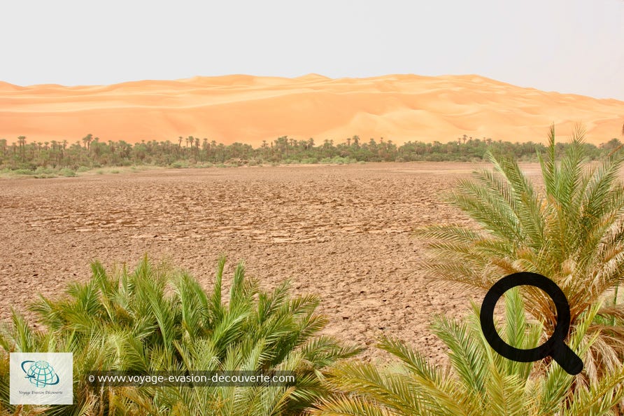 Cet erg désertique abrite cependant un chapelet de lacs salés, entourés de palmiers et de hautes dunes. Les principaux sont les lacs El Mafou, Gabraoun, Manadra (à sec et où subsistent seulement de larges plaques de sel) et sans doute le plus beau d'entre eux, le lac Oum El Ma, étroite étendue d'eau au creux de dunes sculptées et où viennent se refléter les palmiers qui le bordent. 