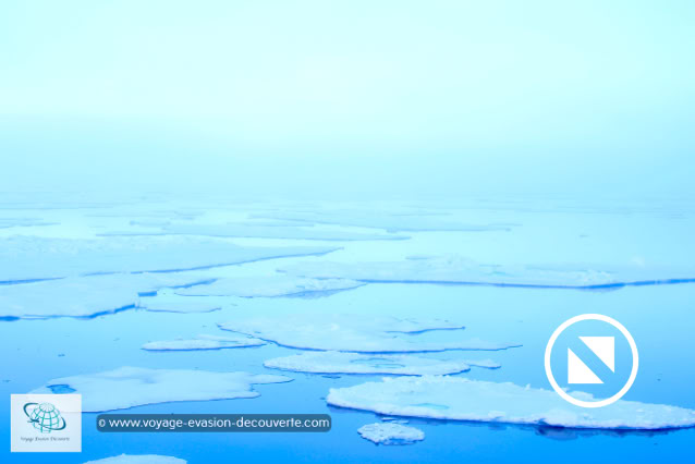 En fin d’après-midi, nous prenons le cap en direction du Kapp Fanshawe. Nous commençons à voir flotter sur une mer d'huile, quelques morceaux de banquise. 