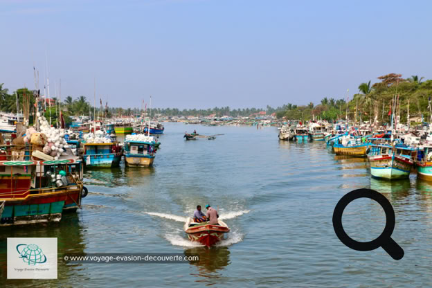 Située sur la côte Ouest du Sri Lanka, à environ 40 km au Nord de la capitale, Colombo. Près du front de mer, les vestiges d'un fort néerlandais du XVIIe siècle servent aujourd'hui de prison. La lagune de Negombo, bordée de cabanes de pêcheurs, alimente le canal Hamilton, datant de l'époque hollandaise.