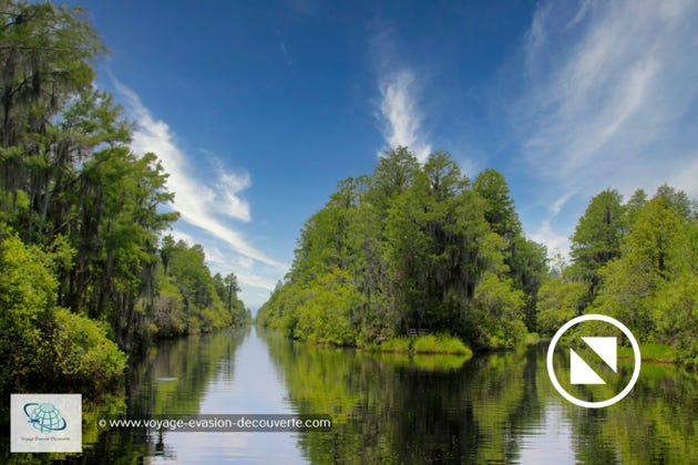 L'Okefenokee National Wildlife Refuge a été créé en 1937 comme " refuge et lieu de reproduction pour les oiseaux migrateurs et autres animaux sauvages ". Ce parc ne ressemble à aucun autre endroit sur terre, où la beauté naturelle et la nature sauvage prédominent.