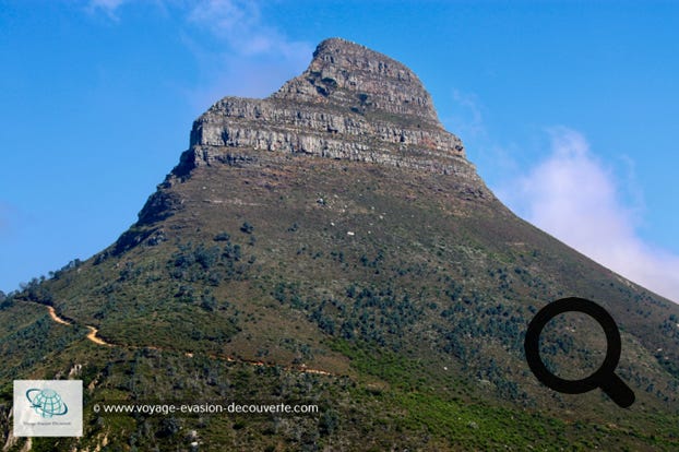 C’est un pic rocheux surplombant la ville du Cap. Cette formation géologique haute de 669 mètres doit son nom à sa forme caractéristique qui évoqua une tête de lion aux premiers colons néerlandais. Il faut vraiment de l’imagination pour reconnaître son profil de Tête de Lion. Au sommet, la vue est superbe : Table Mountain dans le dos, on domine le centre-ville d’un côté, Camps Bay de l’autre, l’océan entre les deux