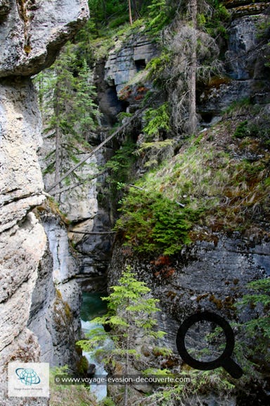 Pas très loin de la ville de Jasper, ce canyon, se trouve à 5 km après la jonction de la route 16A sur la petite route qui va en direction du lac Maligne. Très étroit et très profond, ce canyon est magnifique. Le paysage environnant est verdoyant et le sentier goudronné longe la gorge  en traversant une belle forêt de conifères. Il est incroyable d'imaginer comment la puissance de l'eau a érodé et sculpté cette gorge pendant de nombreuses années. 