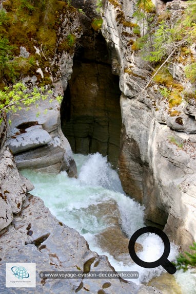 Pas très loin de la ville de Jasper, ce canyon, se trouve à 5 km après la jonction de la route 16A sur la petite route qui va en direction du lac Maligne. Très étroit et très profond, ce canyon est magnifique. Le paysage environnant est verdoyant et le sentier goudronné longe la gorge  en traversant une belle forêt de conifères. Il est incroyable d'imaginer comment la puissance de l'eau a érodé et sculpté cette gorge pendant de nombreuses années. 