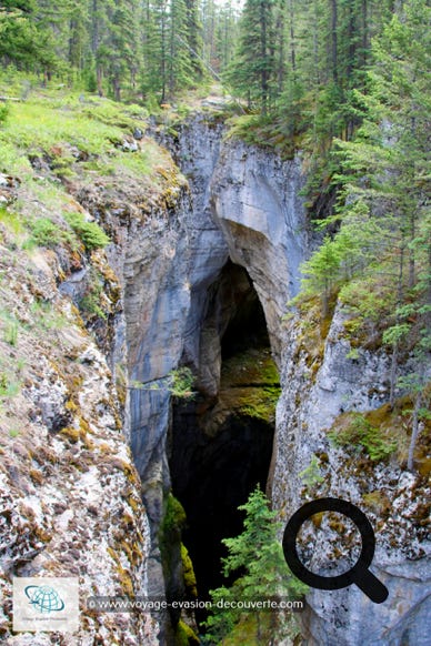 Pas très loin de la ville de Jasper, ce canyon, se trouve à 5 km après la jonction de la route 16A sur la petite route qui va en direction du lac Maligne. Très étroit et très profond, ce canyon est magnifique. Le paysage environnant est verdoyant et le sentier goudronné longe la gorge  en traversant une belle forêt de conifères. Il est incroyable d'imaginer comment la puissance de l'eau a érodé et sculpté cette gorge pendant de nombreuses années. 