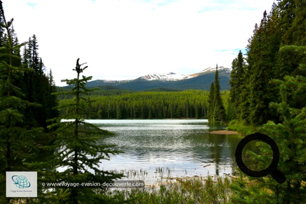 Le lac Maligne, situé à une altitude de 1 670 m, est le plus grand lac du parc national de Jasper. La vallée dans  laquelle il s'est formé a été creusée par des glaciers de vallée.