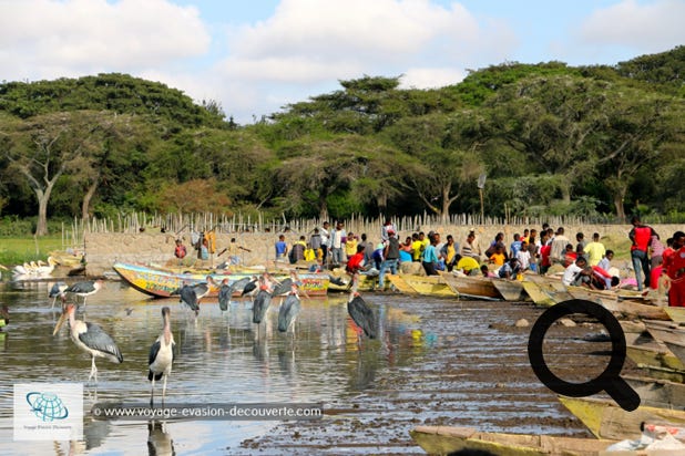 Le matin, nous sommes allés voir le marché aux poissons qui se situe sur les rives du lac Awasa. Très animé et atypique, ce marché se tient tous les jours de la semaine. De nombreux pêcheurs négocient leurs prises du jour sur place devant leurs embarcations.