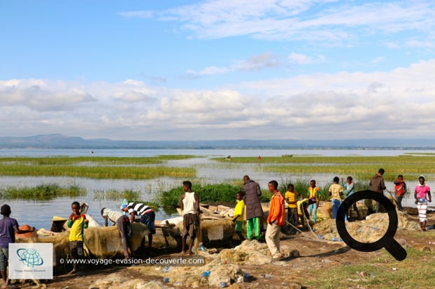 Le matin, nous sommes allés voir le marché aux poissons qui se situe sur les rives du lac Awasa. Très animé et atypique, ce marché se tient tous les jours de la semaine. De nombreux pêcheurs négocient leurs prises du jour sur place devant leurs embarcations.