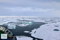 La banquise au Spitzberg