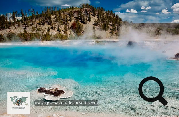 Ce secteur est connu pour avoir quelques une des plus grandes et belles piscines colorées naturelles du parc dont la plus connue : Grand Prismatic Spring.  