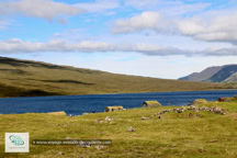 Le Lac Sørvágsvatn sur l'Île de Vágar
