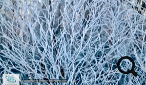 Le Parc National de Pallas Yllästunturi en Laponie