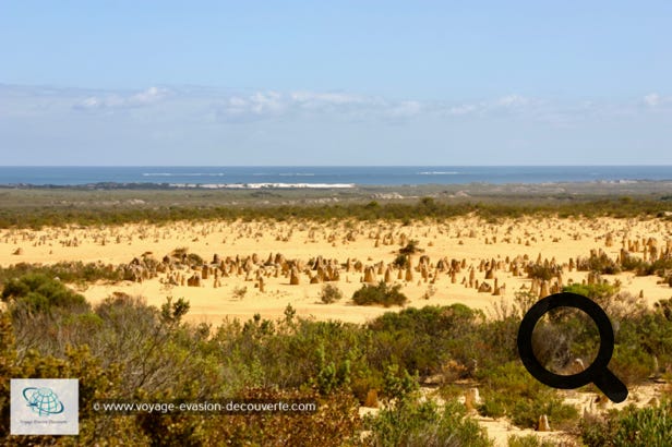 Sur ces vastes étendues de sable doré se dressent des tours de calcaire, horde de monuments naturels montant la garde sur fond de ciel bleu. Mille rochers façonnés par l’érosion ressemblent à des sentinelles de calcaire, le regard tourné vers l’Océan Indien. Ces monolithes de sédiments calcaires aux formes étranges, dont certaines peuvent atteindre 4 mètres de hauteur, ont environ 30 000 ans et ont été progressivement dévoilé par les pluies et les vents.