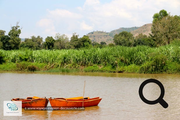 Prenant naissance au lac Tana, en Éthiopie, il forme le Nil lors de sa confluence avec le Nil Blanc à Khartoum, au Soudan. Le Nil Bleu, pourtant plus court, contribue à la majorité du débit du fleuve. 