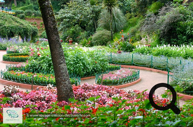 Ooty n'a aucun charme mais c’est une étape pour aller en direction  de Cochin et passer entre les superbes collines de plantations de café  et de thé. Il y a un très beau jardin botanique à la française à voir. 