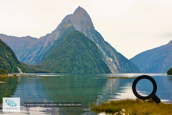 Milford Sound mérite bien son titre de lieu le plus incontournable de Nouvelle-Zélande. Cette expérience est à faire absolument, même si nous avons eu la malchance d’avoir un ciel très couvert, la contemplation de ces fjords est exceptionnelle. Les paysages y sont splendides et réellement bluffants.