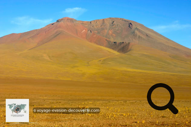 Après le petit déjeuner, nous reprenons la route en direction du Salar alors que défilent sous nos yeux les époustouflants paysages du Sud Lípez. Nous ne nous lassons pas du spectacle que l’on nous offre.  
