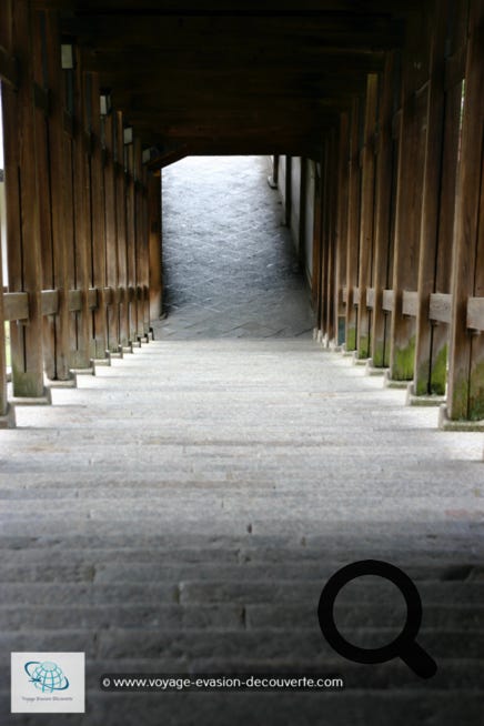 C’est un temple bouddhique, dans l’enceinte se trouve la plus grande construction en bois au monde1, le Daibutsu-den, salle du Grand Bouddha, qui abrite une statue colossale en bronze du bouddha Vairocana appelée Daibutsu, c'est-à-dire “ Grand Bouddha “. Du haut de ses 18 mètres et de ses 250 tonnes, il domine les voyageurs venus lui rendre hommage depuis près de 13 siècles. Le bâtiment, d’une largeur de huit travées de piliers (soit 57 mètres), est un tiers plus petit que le temple originel qui en comprenait douze.