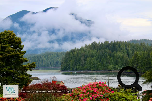 Cette petite ville est située sur la pointe de la péninsule d'Esowista. Tofino est une station touristique réputée pour la qualité de ses plages qui attirent les surfeurs l'été, pour la richesse de son environnement marin et pour les spectaculaires forêts tempérées humides qui l'entourent. Elle est aussi connue pour ses impressionnants orages sur l'eau en hiver. 