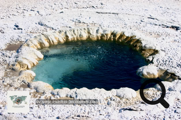 Les bactéries qui tapissent les sources chaudes forment des amas de plusieurs milliards d’individus. Ces bactéries constituent les formes de vie les plus primitives de la planète. Des mouches et d’autres arthropodes sont présents dans ce milieu y compris pendant l’hiver. 