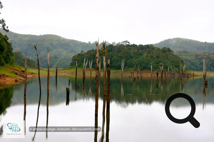 À environ 100 km à l'est de Alappuzha et à 110 km à l'ouest de Madurai, cette zone protégée s'étend sur une superficie de 777 km², dont la partie centrale de 350 km² constitue le parc proprement dit. C'est une zone destinée à protéger les tigres, que l’on a pas vu… dans le cadre du programme Project Tiger.  