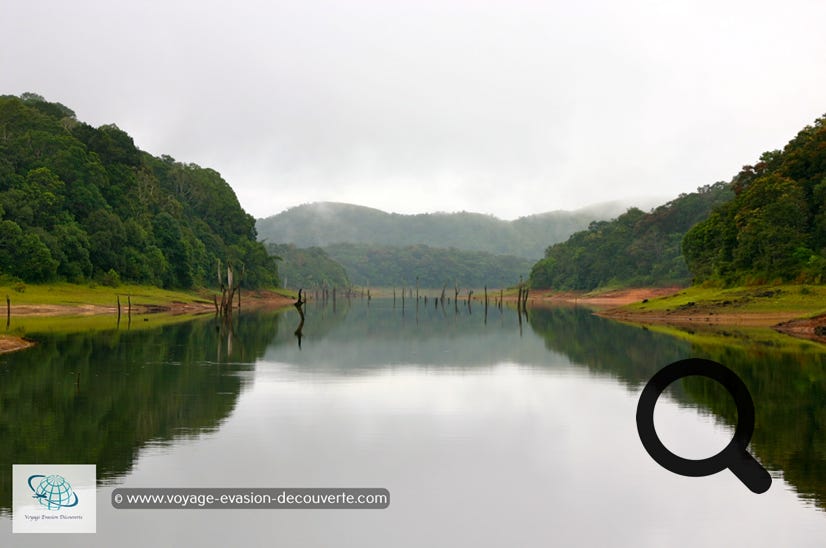 À environ 100 km à l'est de Alappuzha et à 110 km à l'ouest de Madurai, cette zone protégée s'étend sur une superficie de 777 km², dont la partie centrale de 350 km² constitue le parc proprement dit. C'est une zone destinée à protéger les tigres, que l’on a pas vu… dans le cadre du programme Project Tiger.  