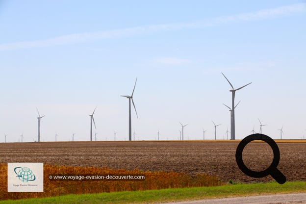 Situé au cœur des États Uni, cet état est constitué essentiellement de grandes plaines. Il incarne l’Amérique dans ce qu’elle a de plus classique, avec sa rude culture cow-boy et ses vastes prairies. Dans la région vallonnée des Flint Hills, vous pourrez admirer les vastes prairies d’herbes hautes où de grands troupeaux d'élevage pâturent dans les herbes hautes. 