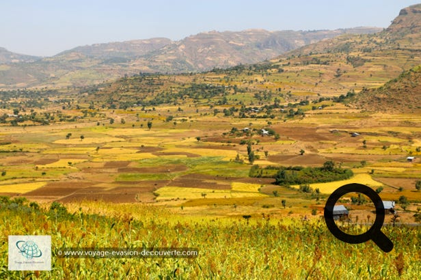 Ces régions d'altitude au climat plus frais et plus humide que le reste du pays sont propices à l'agriculture, et contiennent les sources de nombreux cours d'eau ce qui leur vaut le nom de “toit de l'Afrique“. C'est en traversant ces plateaux que l'on se rend compte de l'importance de l'agriculture en Éthiopie. À perte de vue, s'étend des champs de riz, de blé, de maïs et d'orge formant un superbe patchwork.